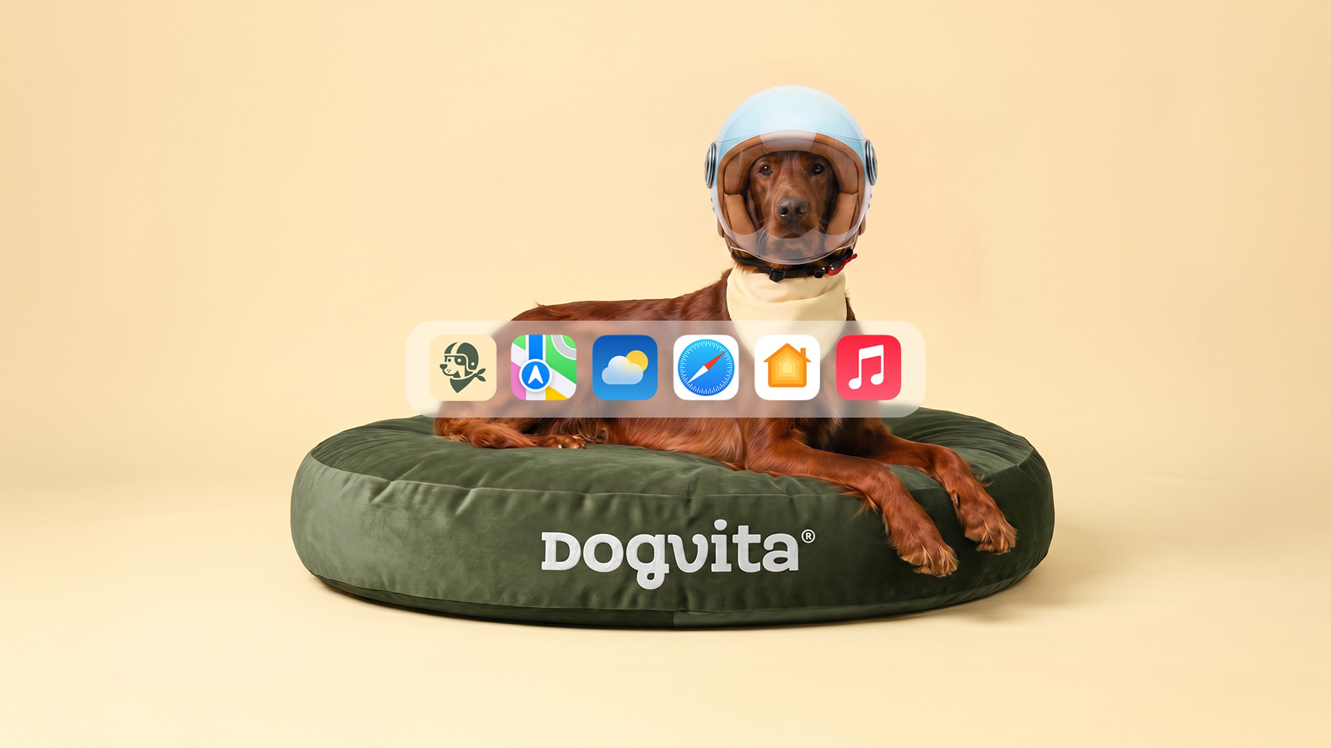 An Irish setter wearing a DogVita helmet lounging on a DogVita dog bed, with a dock of phone app icons floating in front